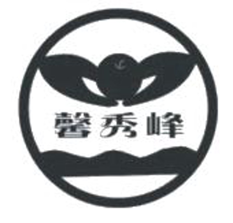 随州舞蹈团：绽放魅力之舞步
